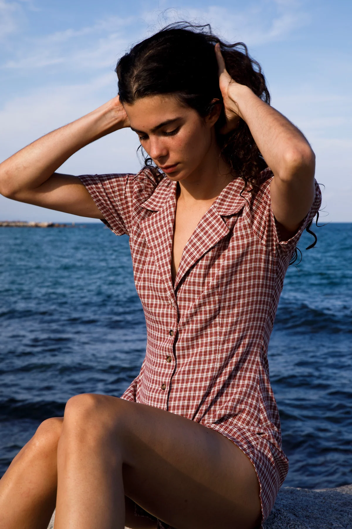 Jam Gingham Button Front Dress [final sale] - Image 6