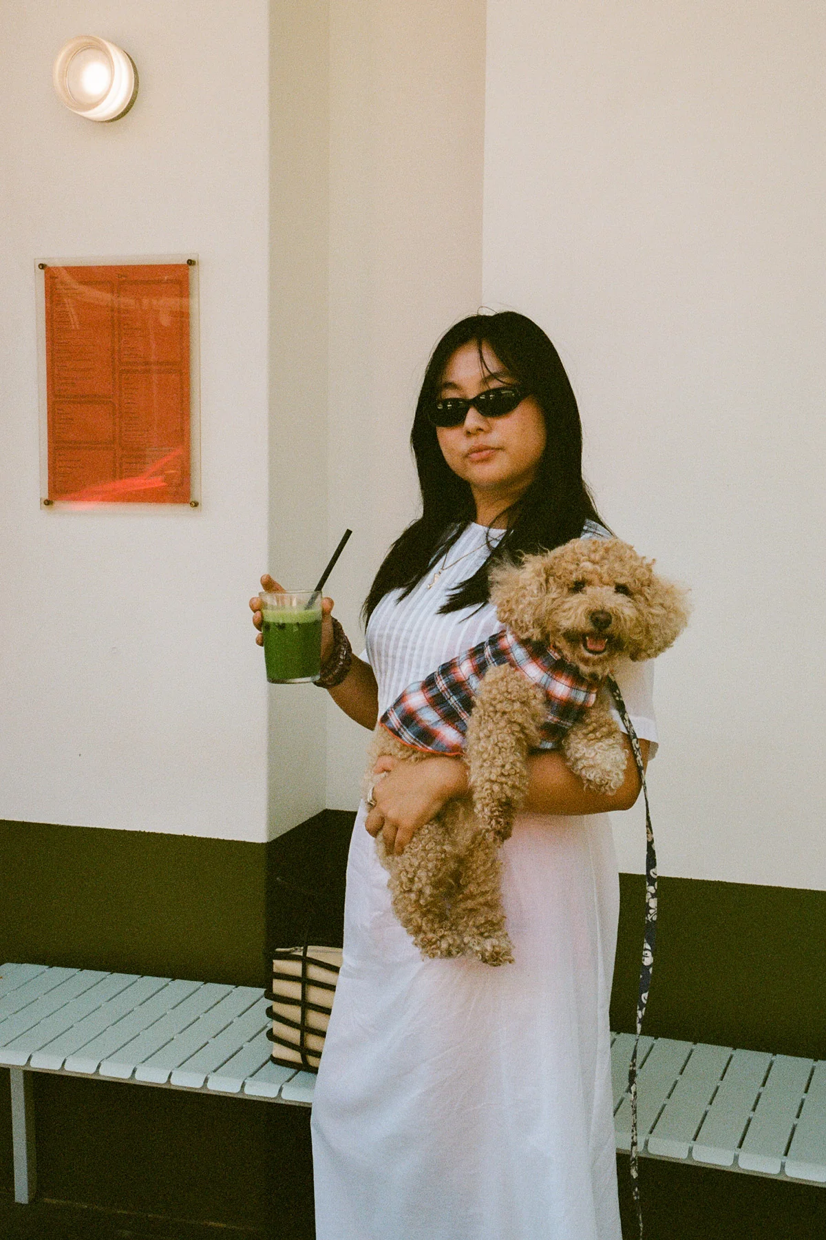 Negroni Ruched Dog Vest - Image 4