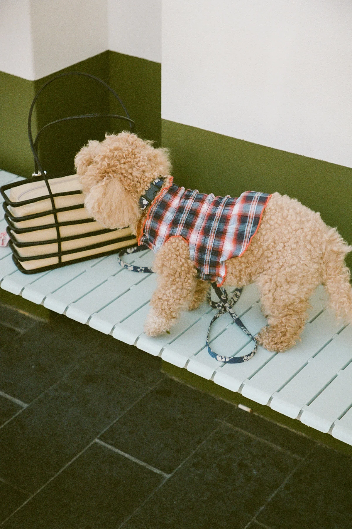 Negroni Ruched Dog Vest - Image 6