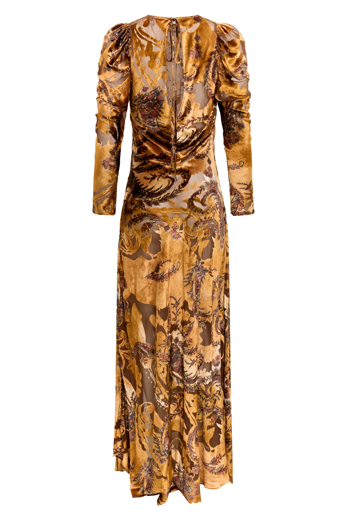 Secret Garden Velvet Gown - Image 4