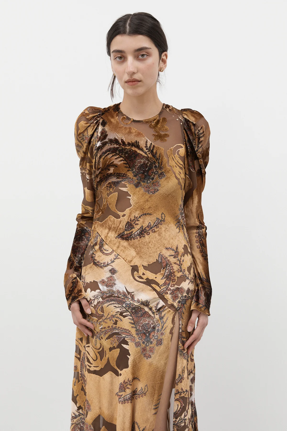 Secret Garden Velvet Gown - Image 5