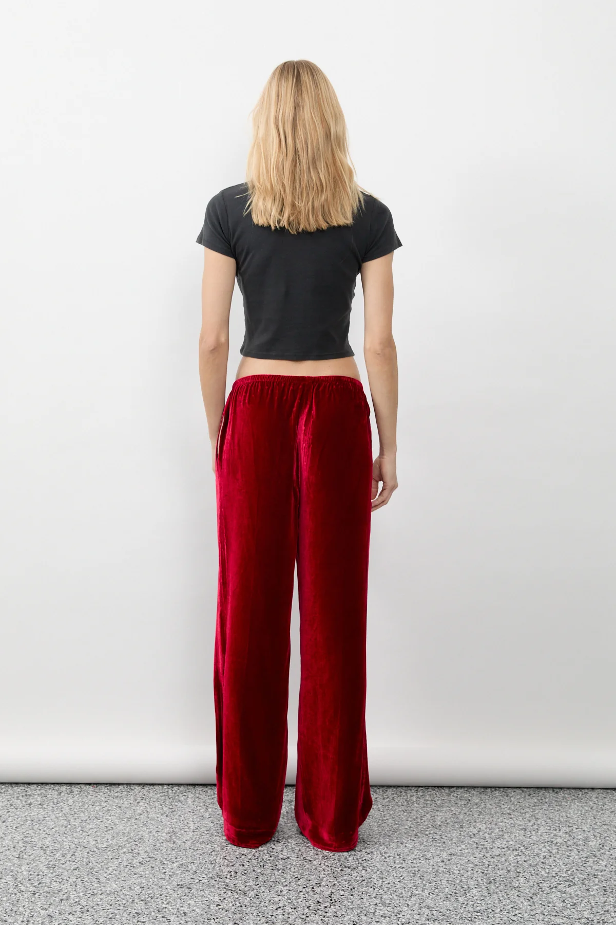 Silk Velvet Pant - Image 11